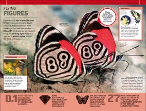 1,000 amazing weird facts - Ảnh 6