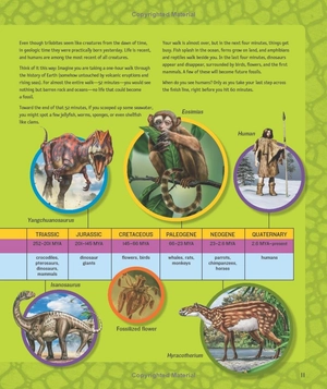 1,000 facts about dinosaurs, fossils, and prehistoric life - Ảnh 10