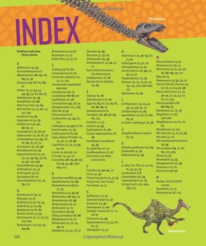 1,000 facts about dinosaurs, fossils, and prehistoric life - Ảnh 12