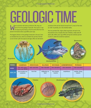 1,000 facts about dinosaurs, fossils, and prehistoric life - Ảnh 9