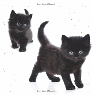 1, 2, let's say boo - Ảnh 3