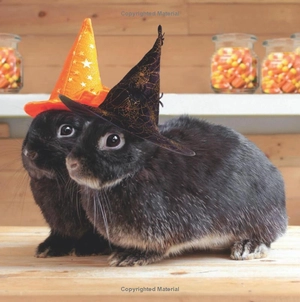 1, 2, let's say boo - Ảnh 6