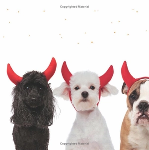 1, 2, let's say boo - Ảnh 7