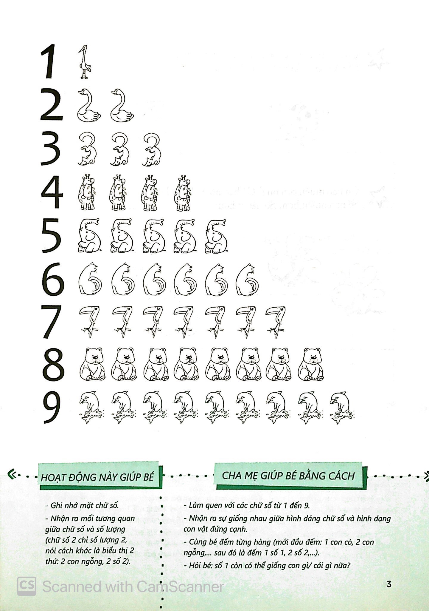 10' cùng con mỗi ngày - cùng bé chơi với số - Ảnh 3