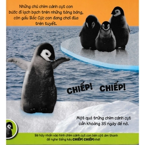 10 nút tiếng kêu đáng yêu - động vật bé con - Ảnh 5