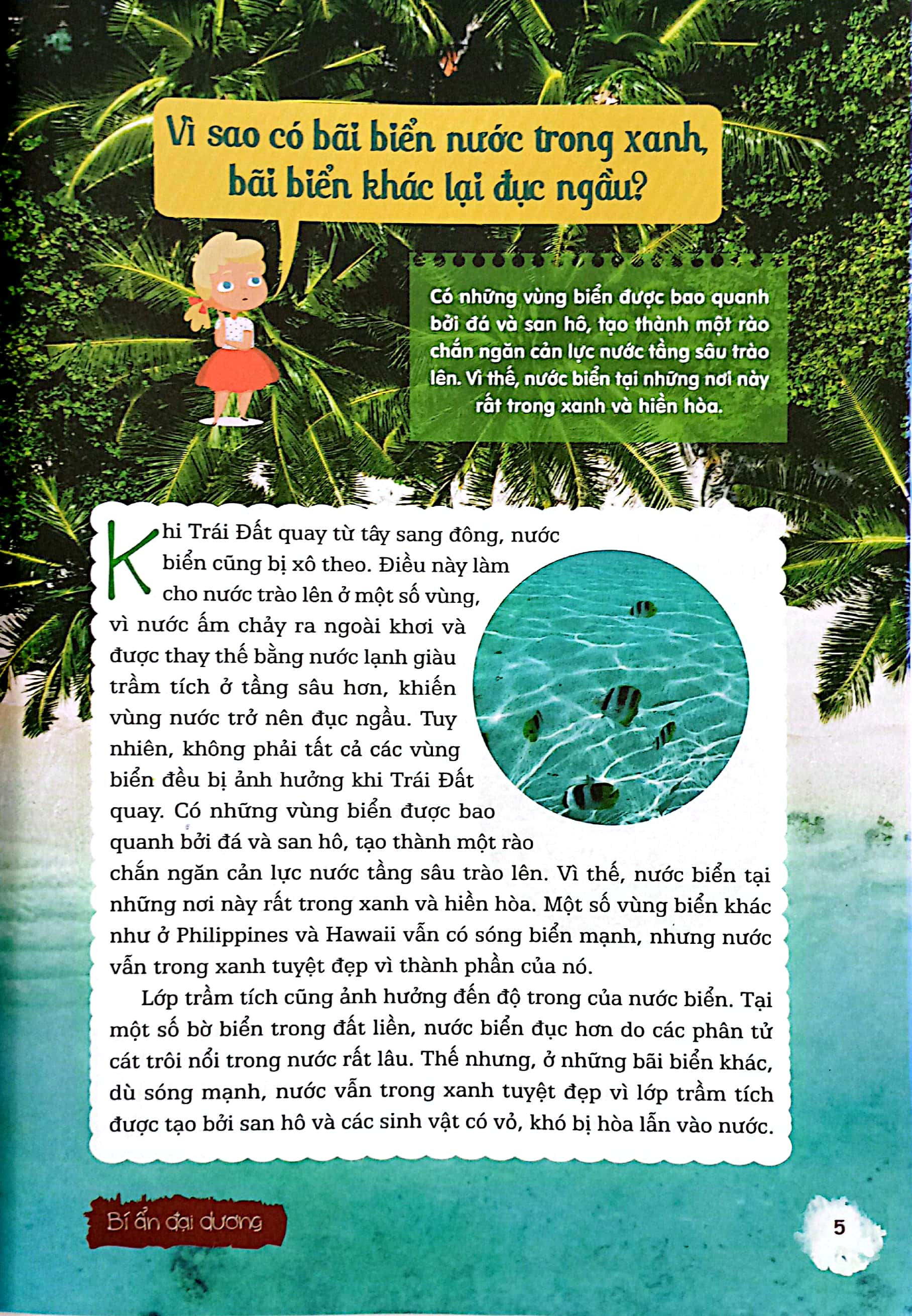10 vạn câu hỏi vì sao - bí ẩn đại dương - Ảnh 4
