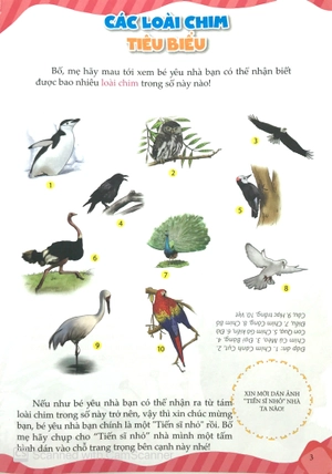 10 vạn câu hỏi vì sao - chim và động vật biển (tái bản) - Ảnh 3