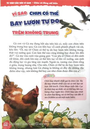 10 vạn câu hỏi vì sao - chim và động vật biển (tái bản) - Ảnh 4