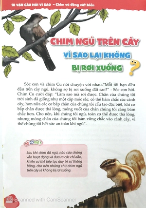10 vạn câu hỏi vì sao - chim và động vật biển (tái bản) - Ảnh 6
