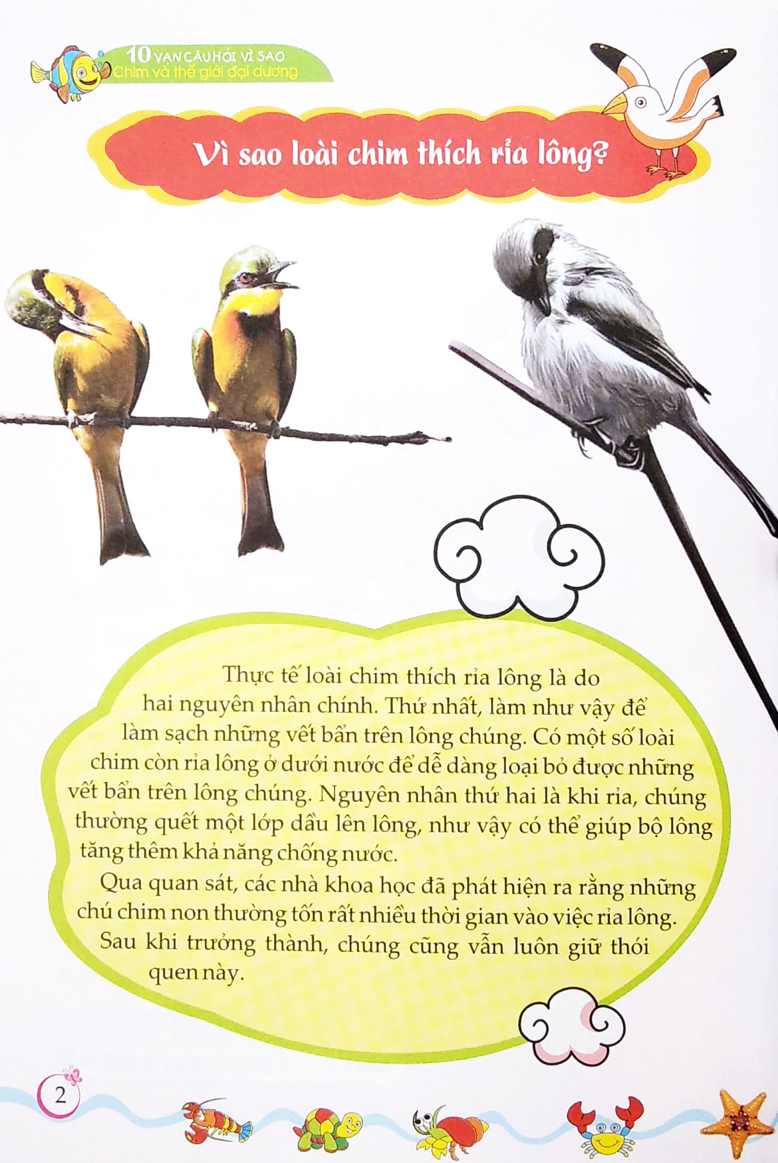 10 vạn câu hỏi vì sao? - chim và thế giới đại dương - Ảnh 4