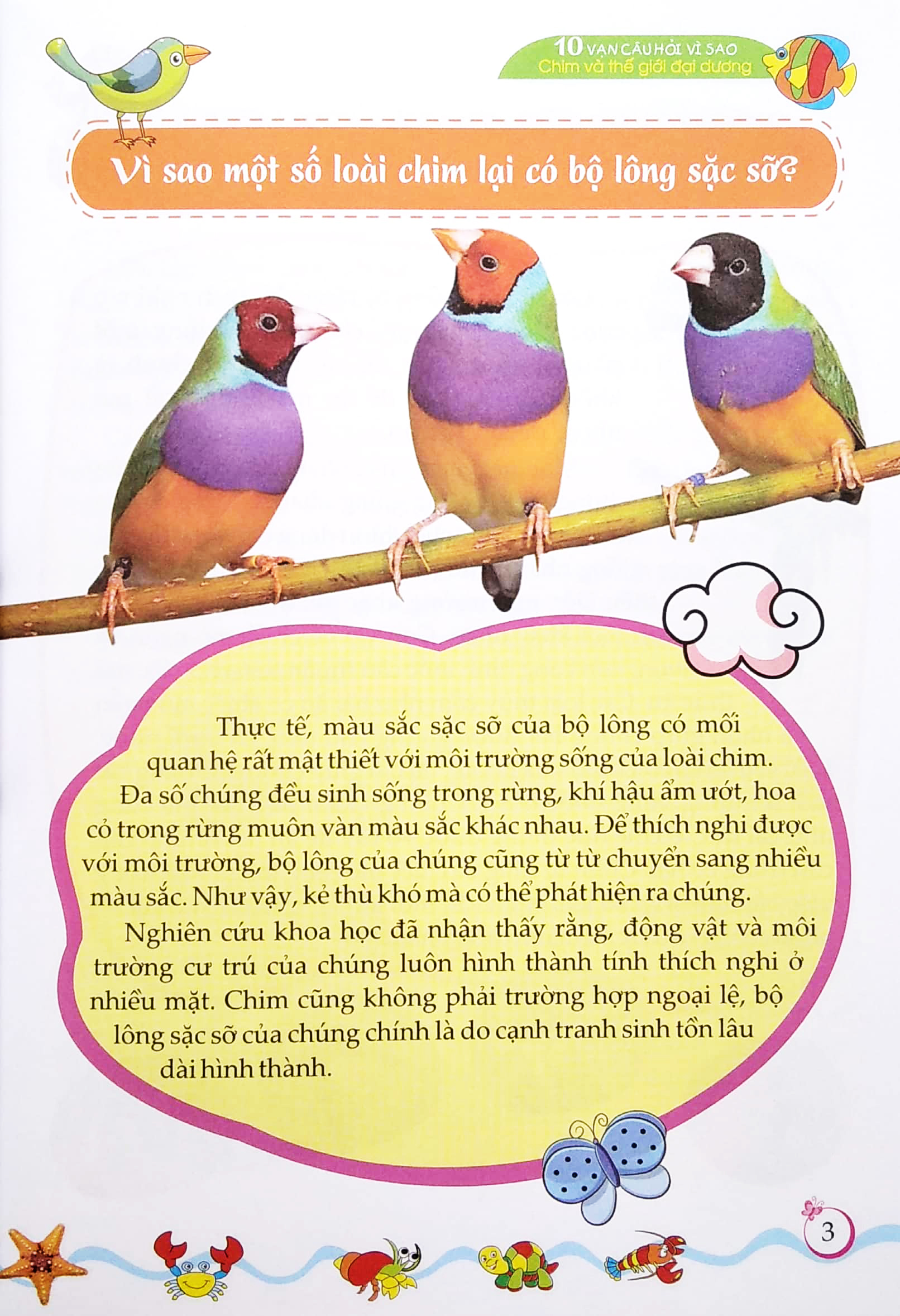 10 vạn câu hỏi vì sao? - chim và thế giới đại dương - Ảnh 5