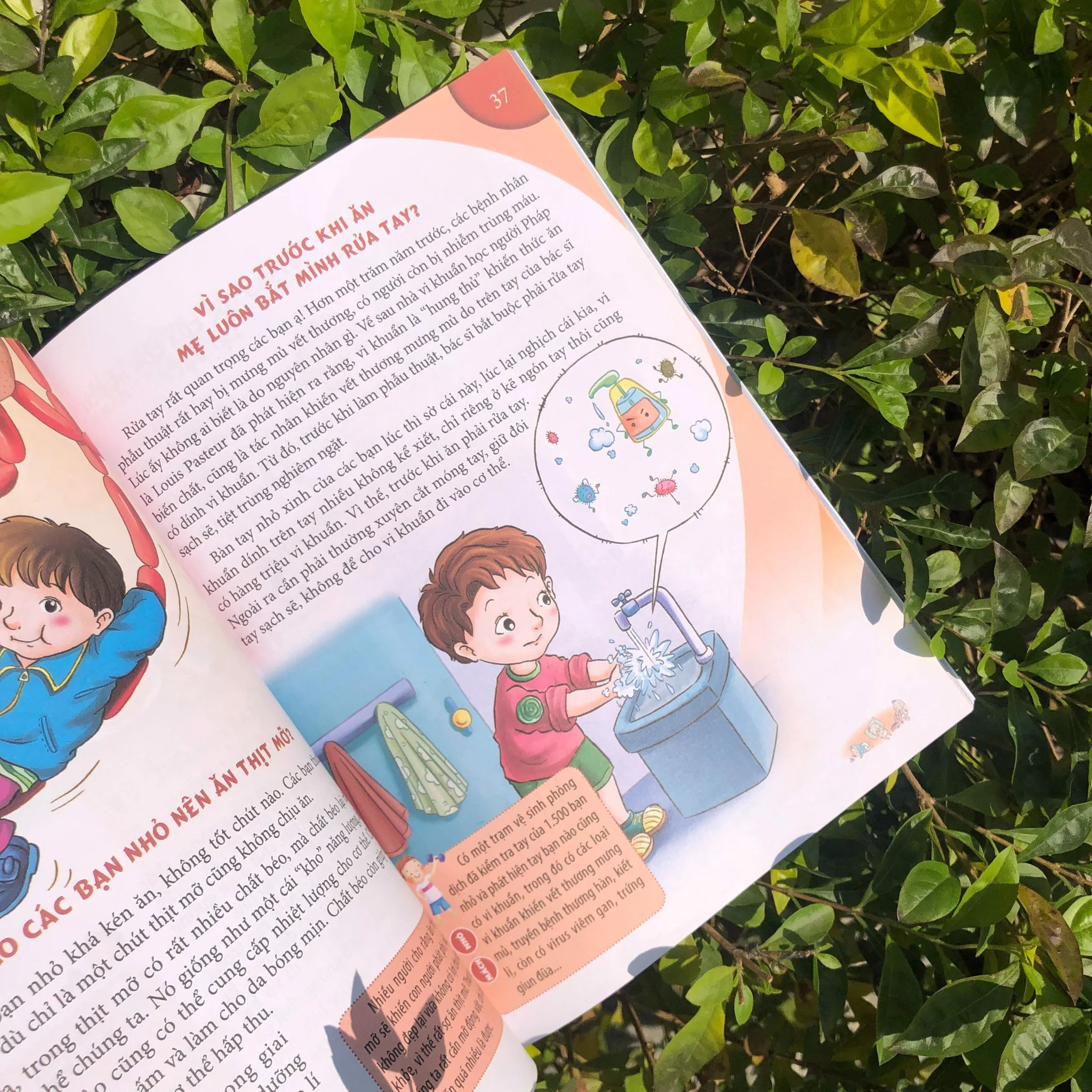 10 vạn câu hỏi vì sao - con người và công nghệ - Ảnh 4