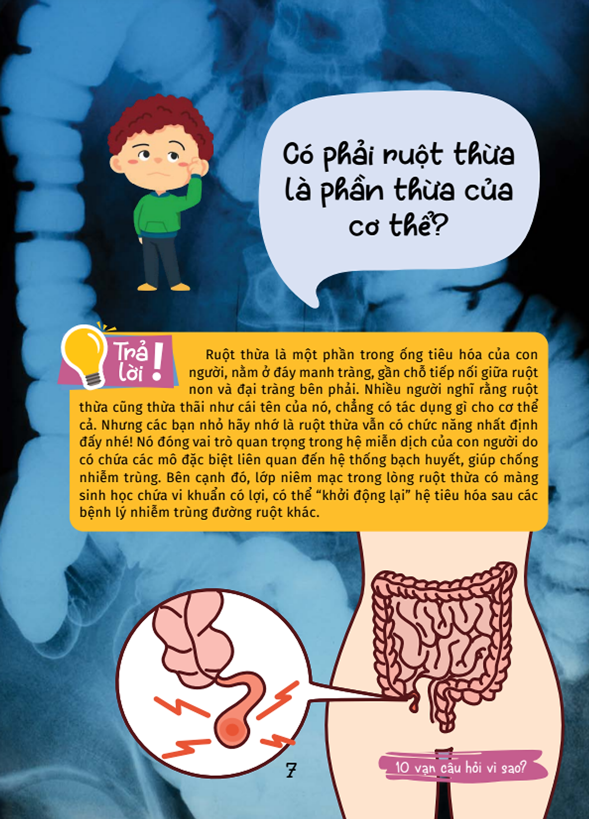 10 vạn câu hỏi vì sao - cùng bé khám phá kiến thức bách khoa - bí mật cơ thể người - Ảnh 12