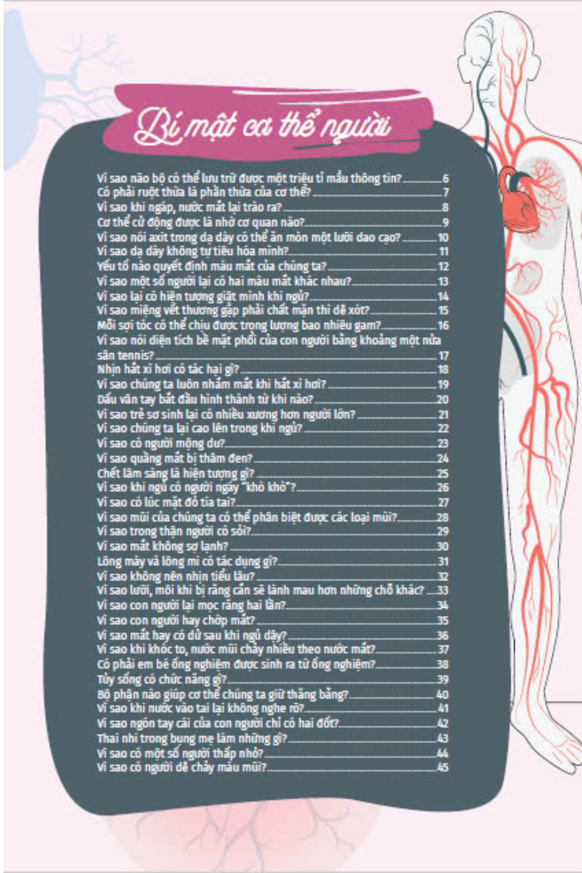 10 vạn câu hỏi vì sao - cùng bé khám phá kiến thức bách khoa - bí mật cơ thể người - Ảnh 5