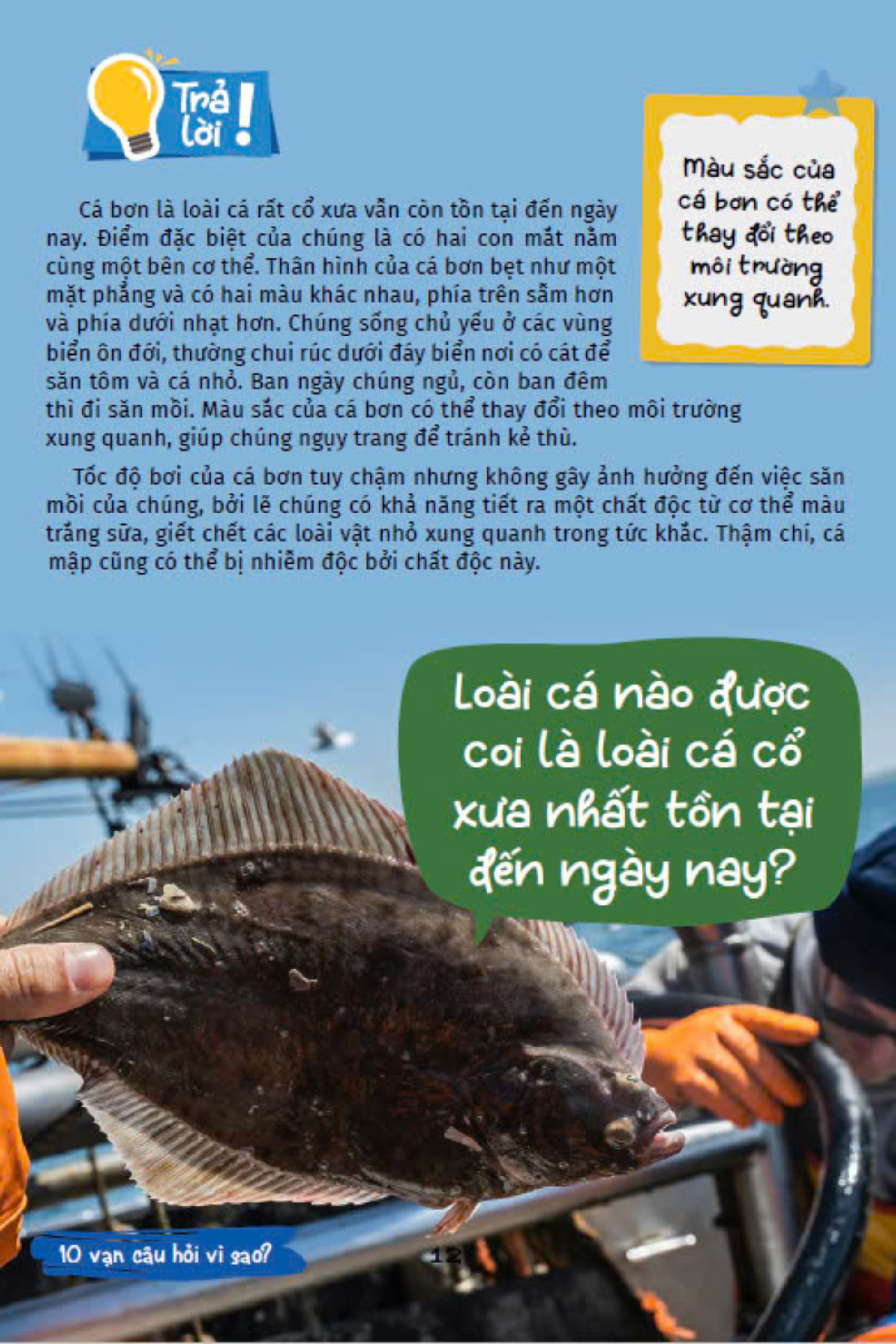 10 vạn câu hỏi vì sao - cùng bé khám phá kiến thức bách khoa - động vật dưới nước và thế giới đại dương - Ảnh 10