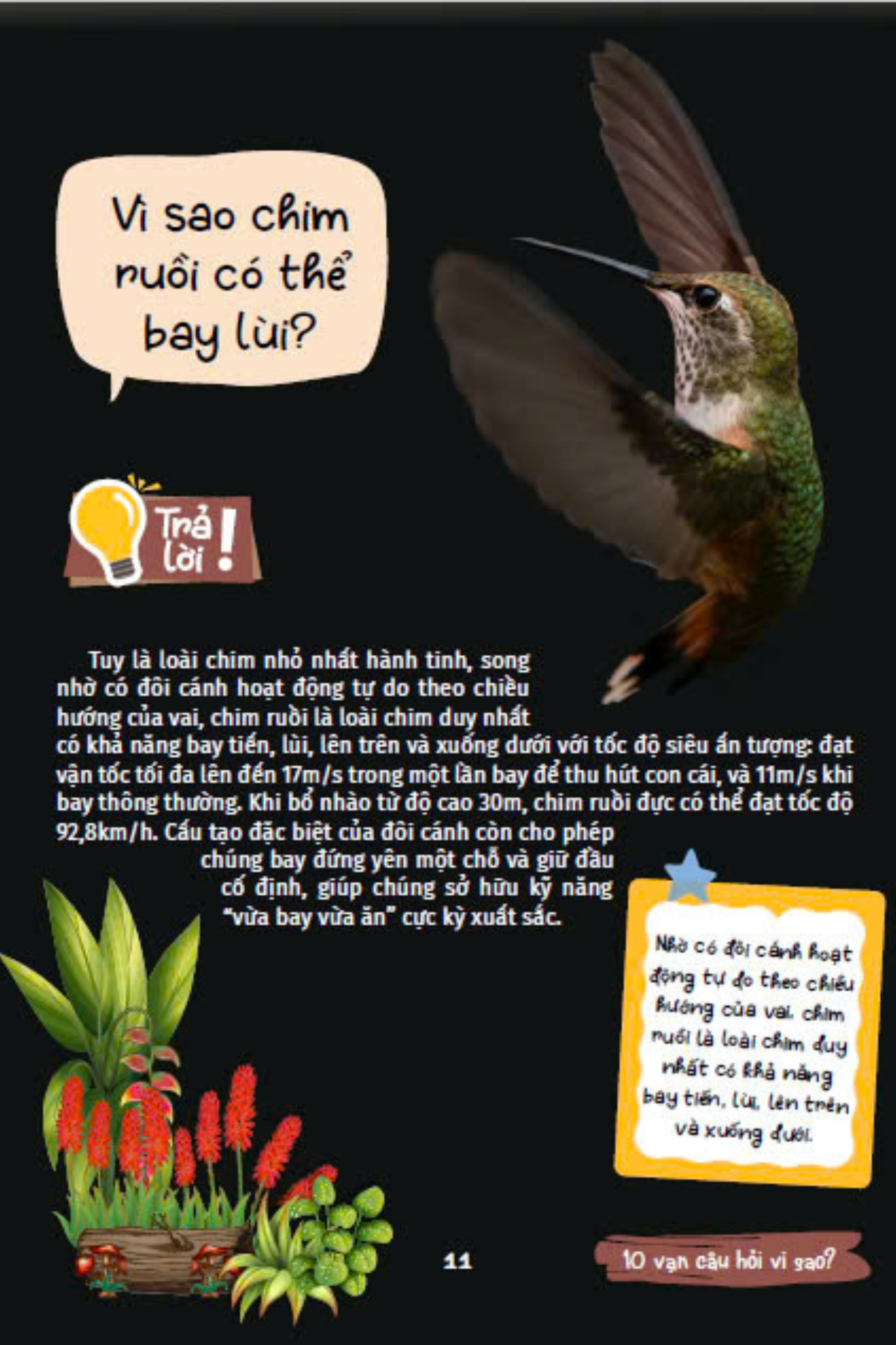 10 vạn câu hỏi vì sao - cùng bé khám phá kiến thức bách khoa - động vật kì lạ - Ảnh 15