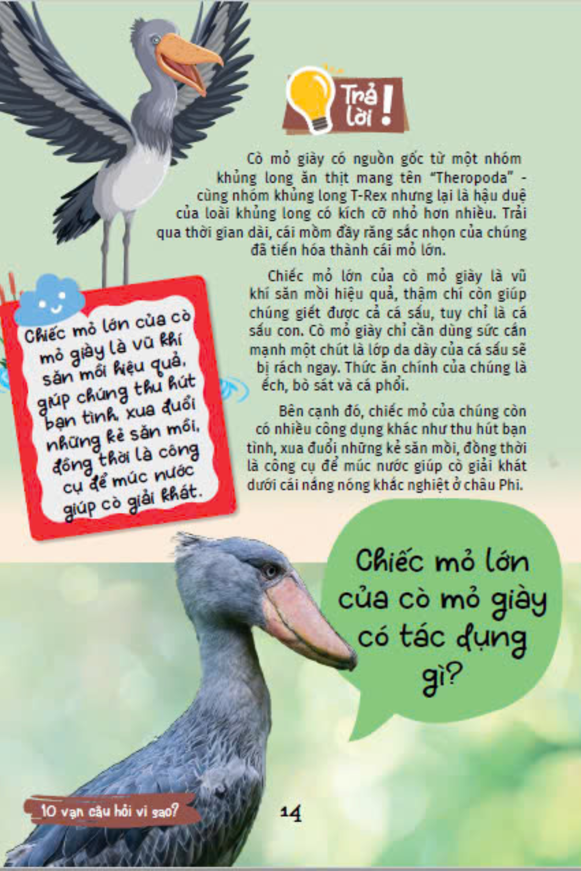 10 vạn câu hỏi vì sao - cùng bé khám phá kiến thức bách khoa - động vật kì lạ - Ảnh 17