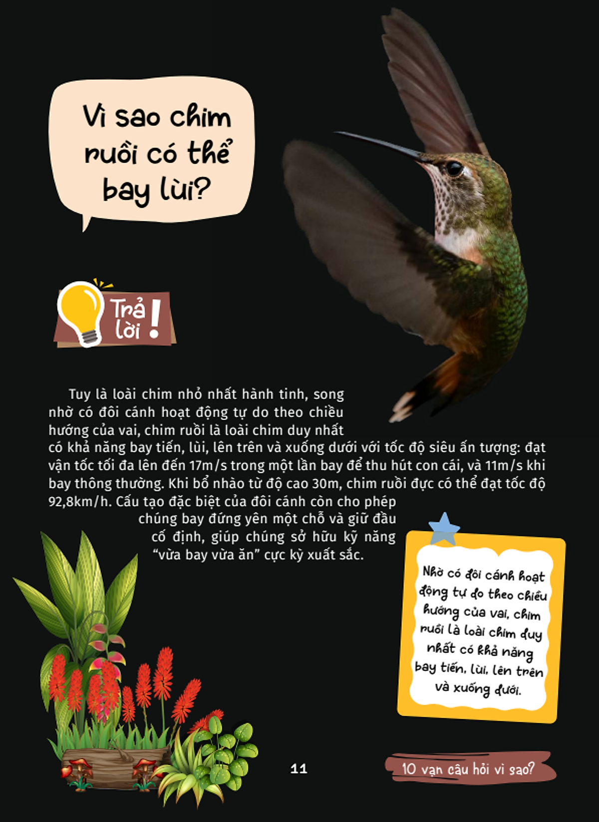 10 vạn câu hỏi vì sao - cùng bé khám phá kiến thức bách khoa - động vật kì lạ - Ảnh 18