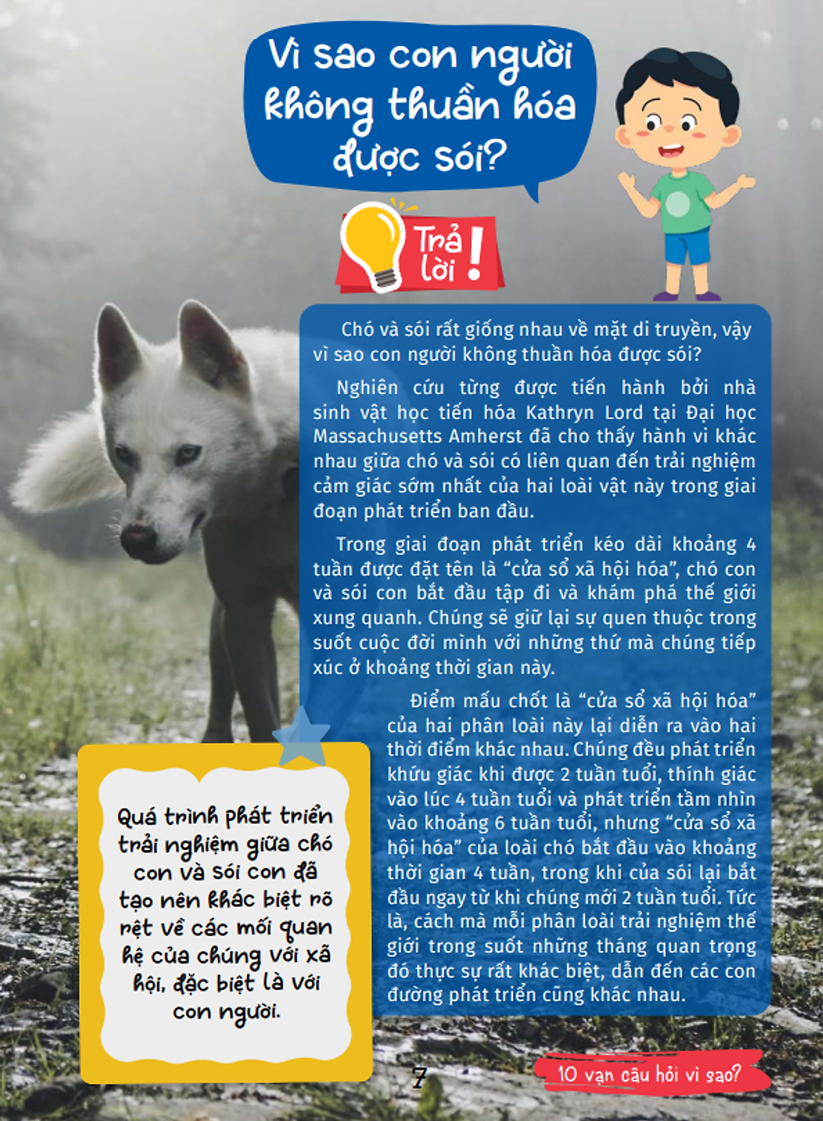 10 vạn câu hỏi vì sao - cùng bé khám phá kiến thức bách khoa - thế giới động vật - động vật hoang dã và động vật nuôi - Ảnh 11