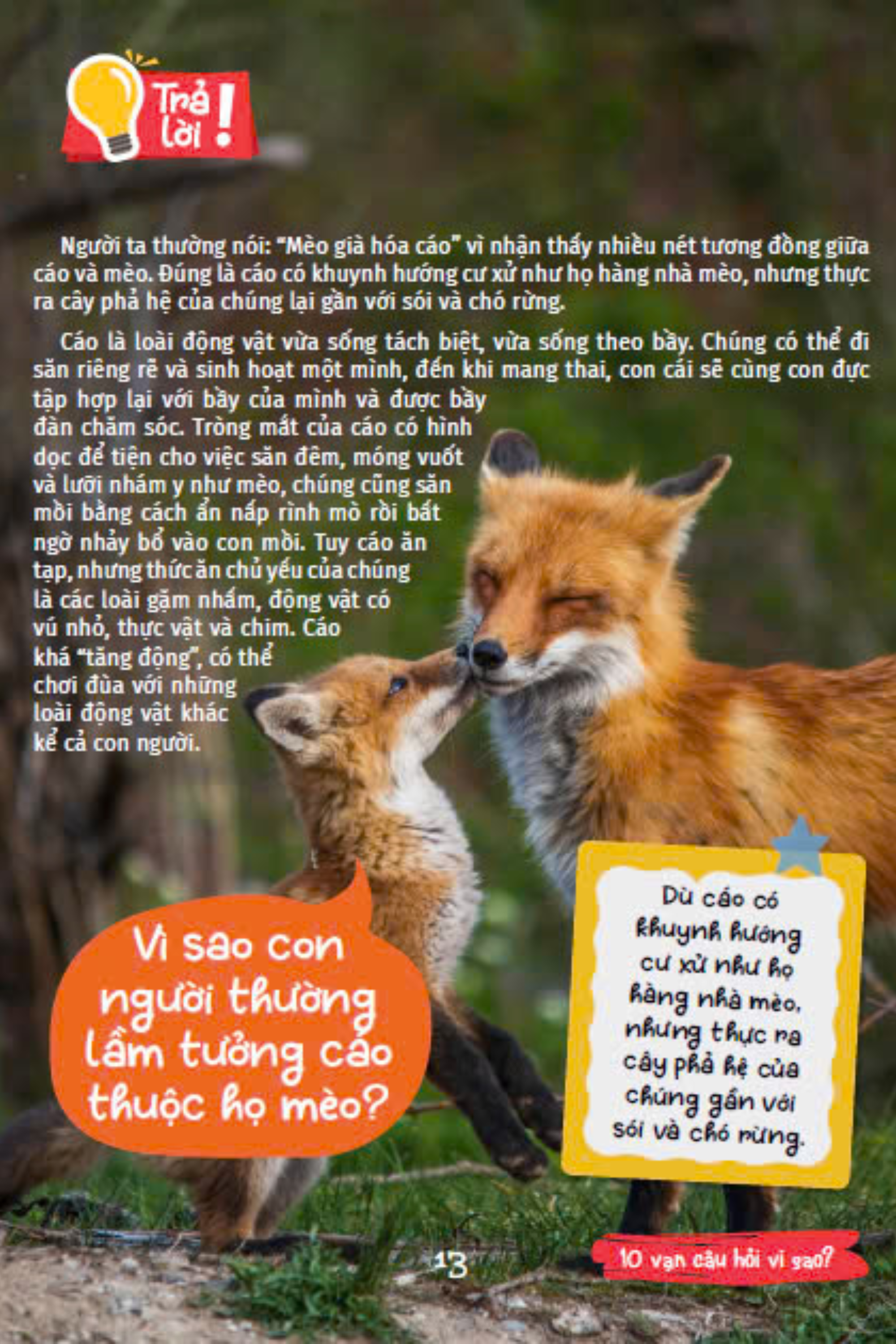 10 vạn câu hỏi vì sao - cùng bé khám phá kiến thức bách khoa - thế giới động vật - động vật hoang dã và động vật nuôi - Ảnh 12