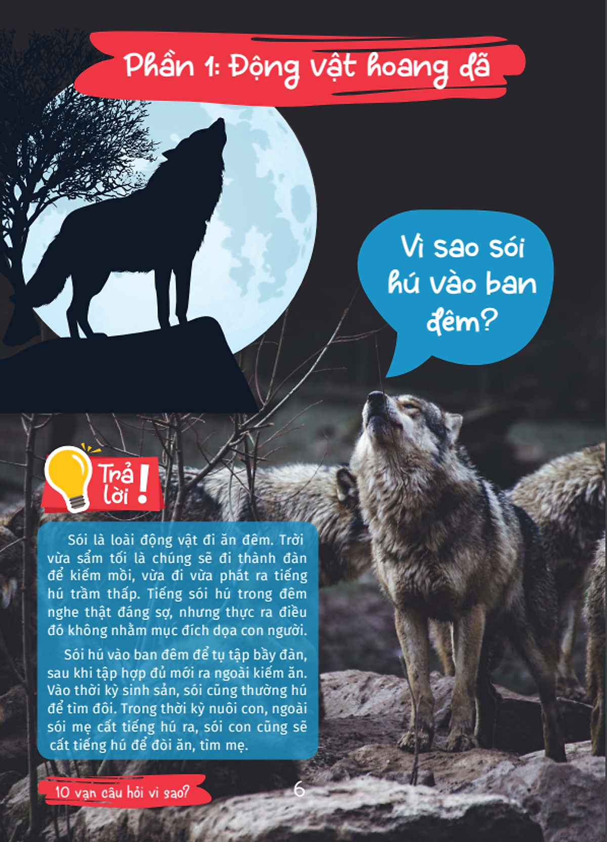 10 vạn câu hỏi vì sao - cùng bé khám phá kiến thức bách khoa - thế giới động vật - động vật hoang dã và động vật nuôi - Ảnh 8