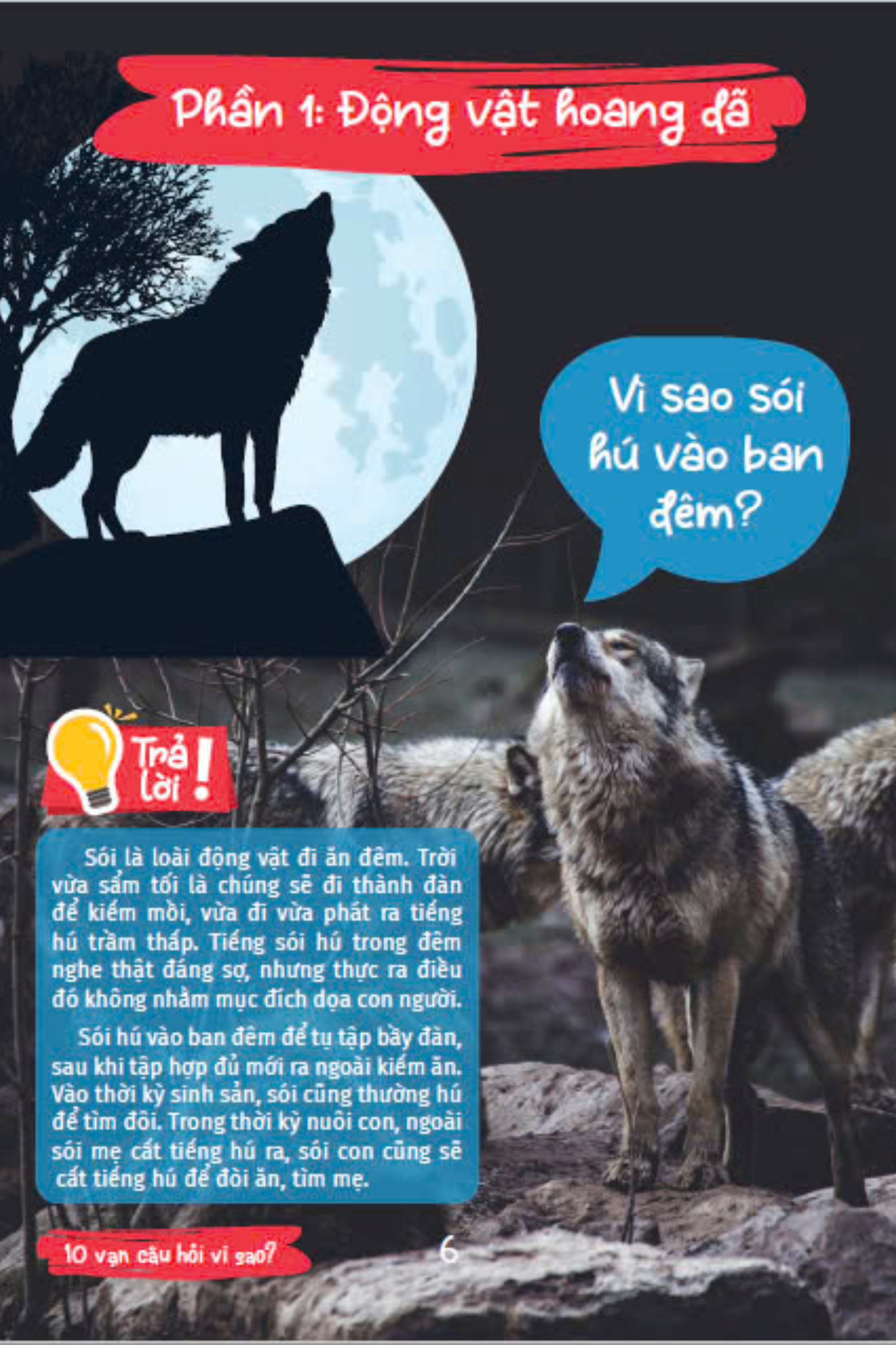 10 vạn câu hỏi vì sao - cùng bé khám phá kiến thức bách khoa - thế giới động vật - động vật hoang dã và động vật nuôi - Ảnh 9