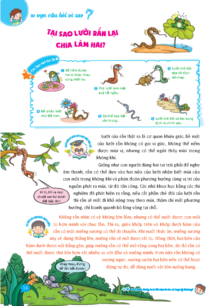 10 vạn câu hỏi vì sao dành cho thiếu nhi - Ảnh 9