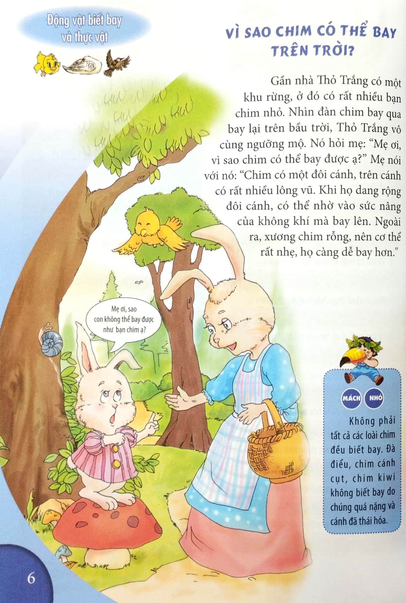 10 vạn câu hỏi vì sao - động vật biết bay và thực vật - Ảnh 4