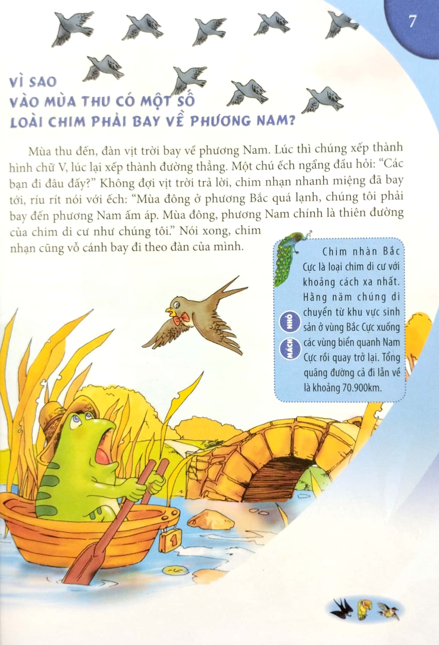 10 vạn câu hỏi vì sao - động vật biết bay và thực vật - Ảnh 5