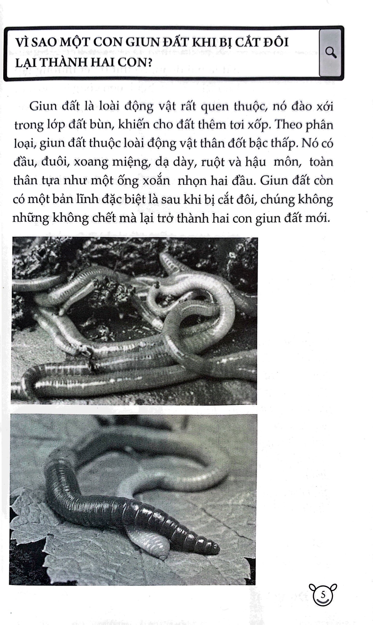 10 vạn câu hỏi vì sao? - động vật (tái bản 2023) - Ảnh 4