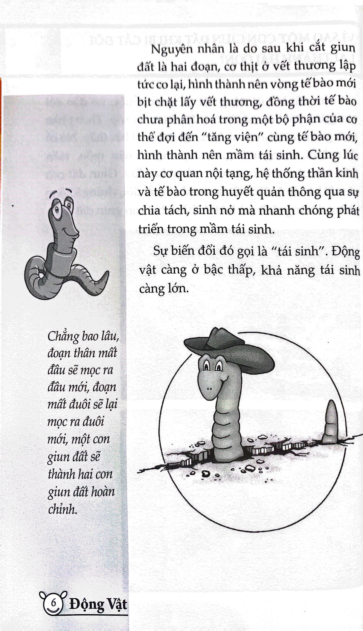 10 vạn câu hỏi vì sao? - động vật (tái bản 2023) - Ảnh 5