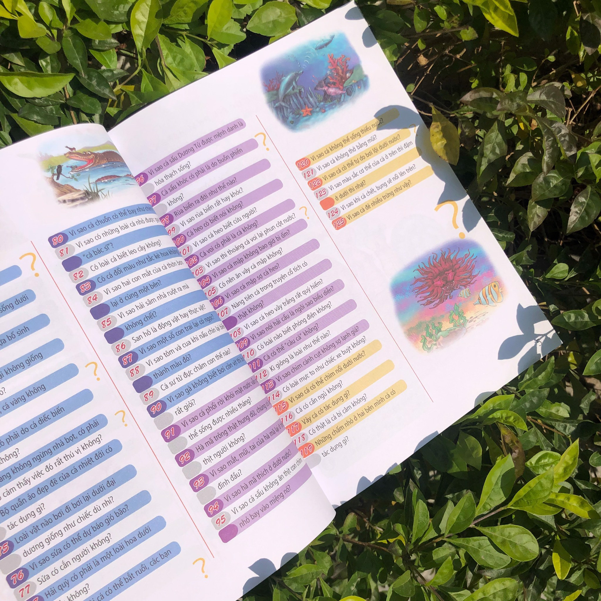 10 vạn câu hỏi vì sao - động vật trên cạn và dưới nước - Ảnh 3