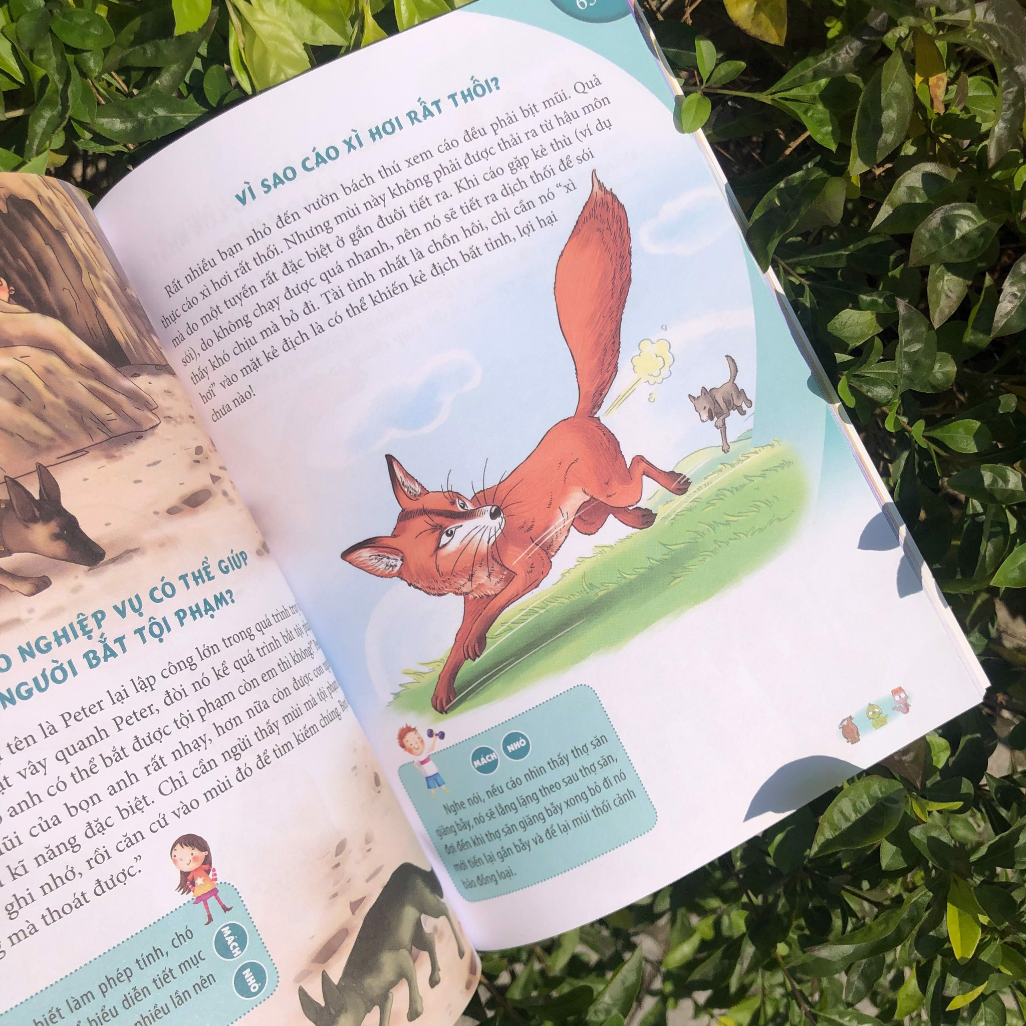 10 vạn câu hỏi vì sao - động vật trên cạn và dưới nước - Ảnh 4