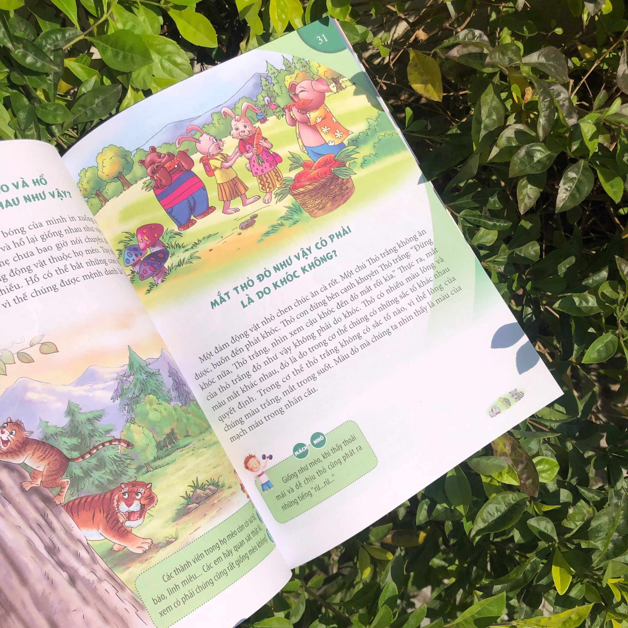 10 vạn câu hỏi vì sao - động vật trên cạn và dưới nước - Ảnh 5