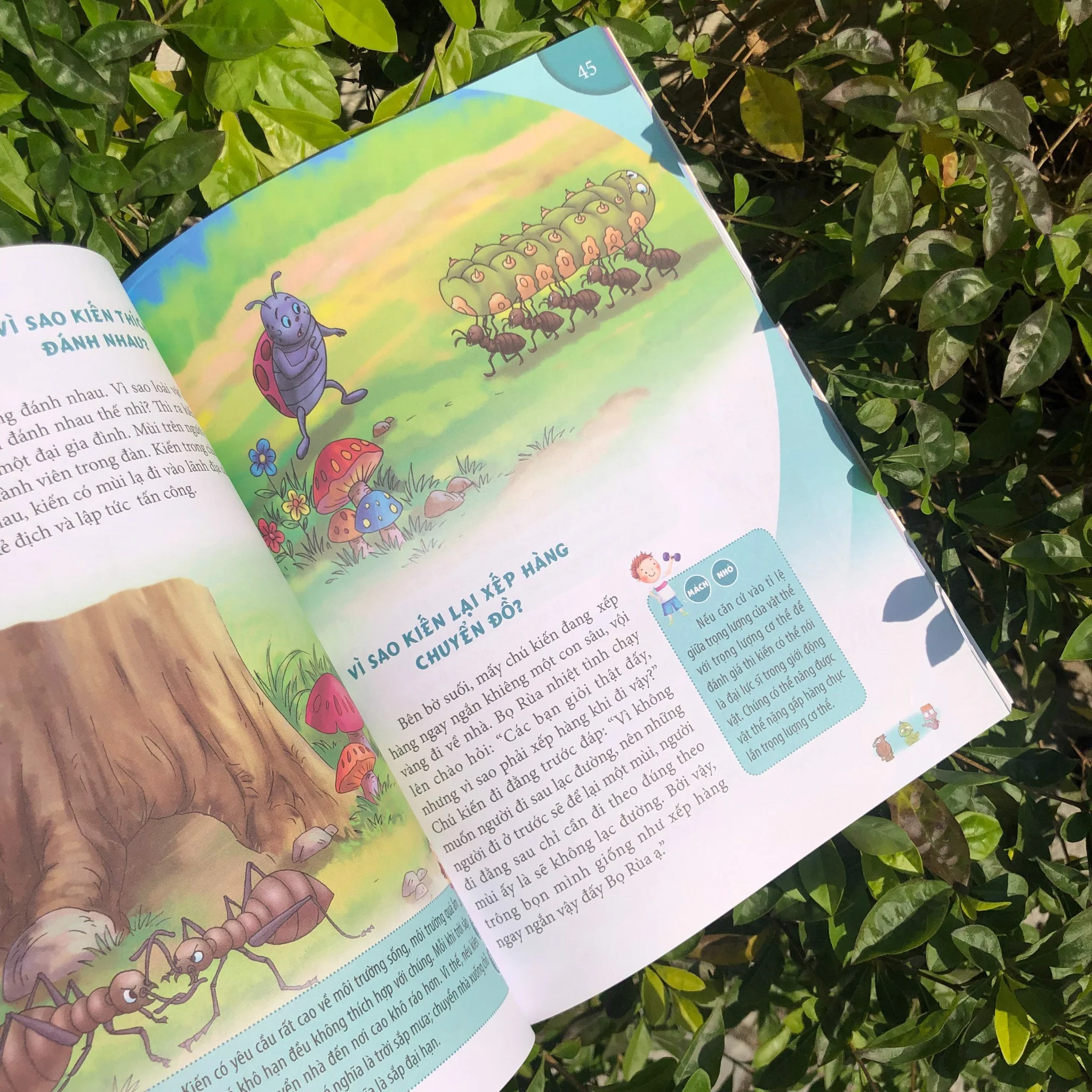 10 vạn câu hỏi vì sao - động vật trên cạn và dưới nước - Ảnh 6