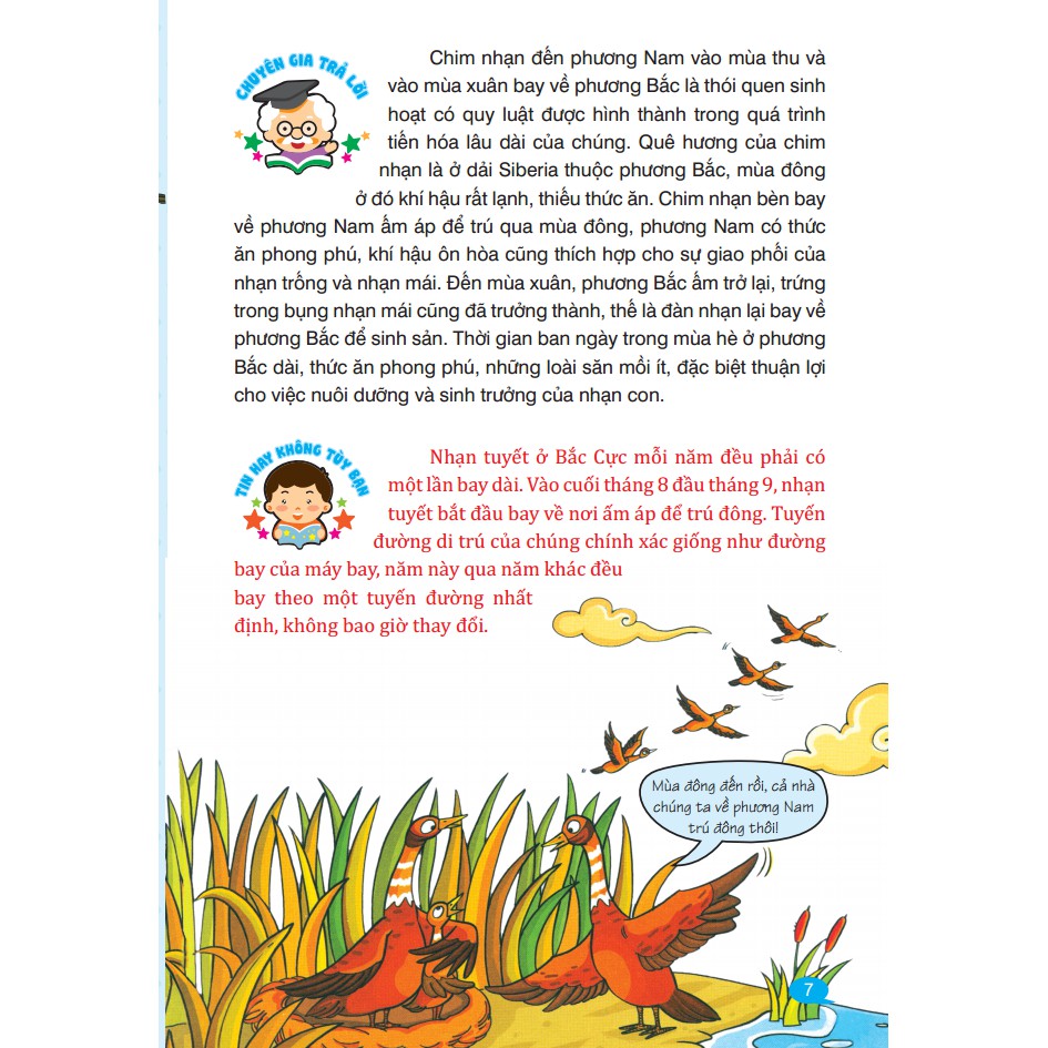 10 vạn câu hỏi vì sao hỏi đáp khoa học - vòng quanh trái đất (tái bản 2020) - Ảnh 4