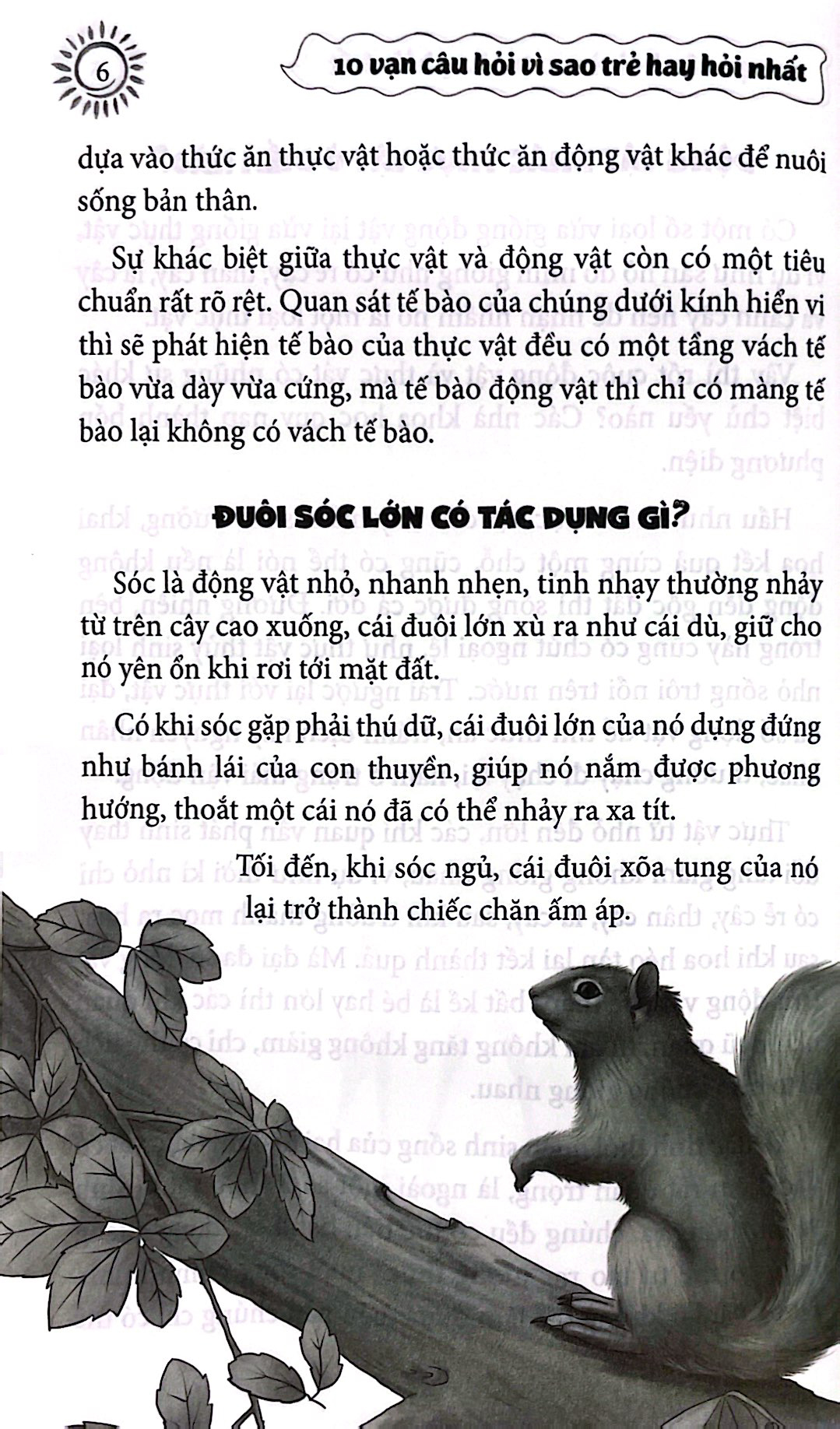 10 vạn câu hỏi vì sao mà trẻ hay hỏi nhất - thế giới động vật-trái đất-địa lý-vũ trụ (tái bản 2024) - Ảnh 6