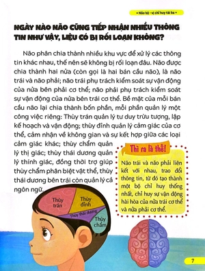 10 vạn câu hỏi vì sao - não bộ - vị chỉ huy tài ba - Ảnh 7