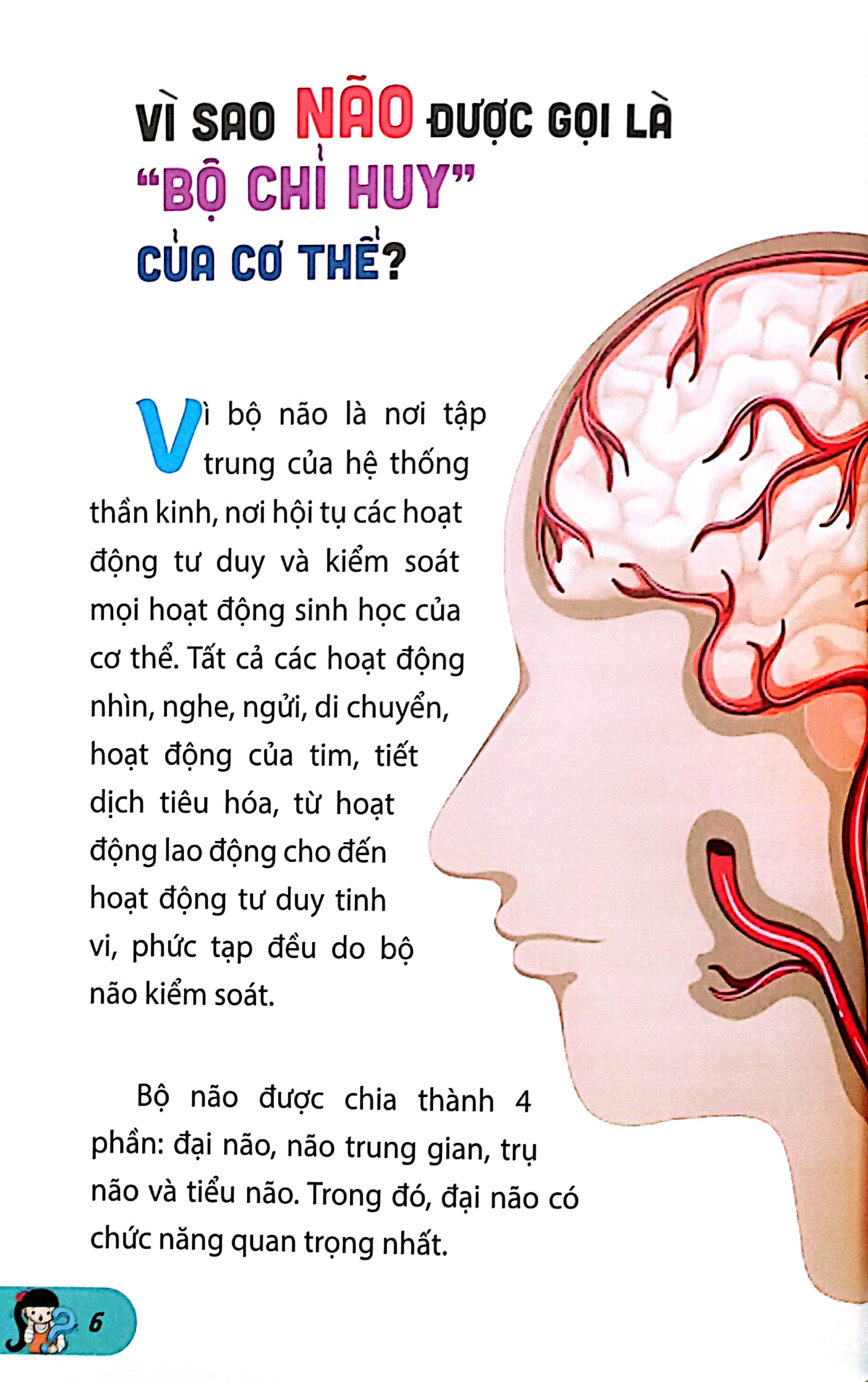 10 vạn câu hỏi vì sao-những câu hỏi thú vị về cơ thể người - Ảnh 4