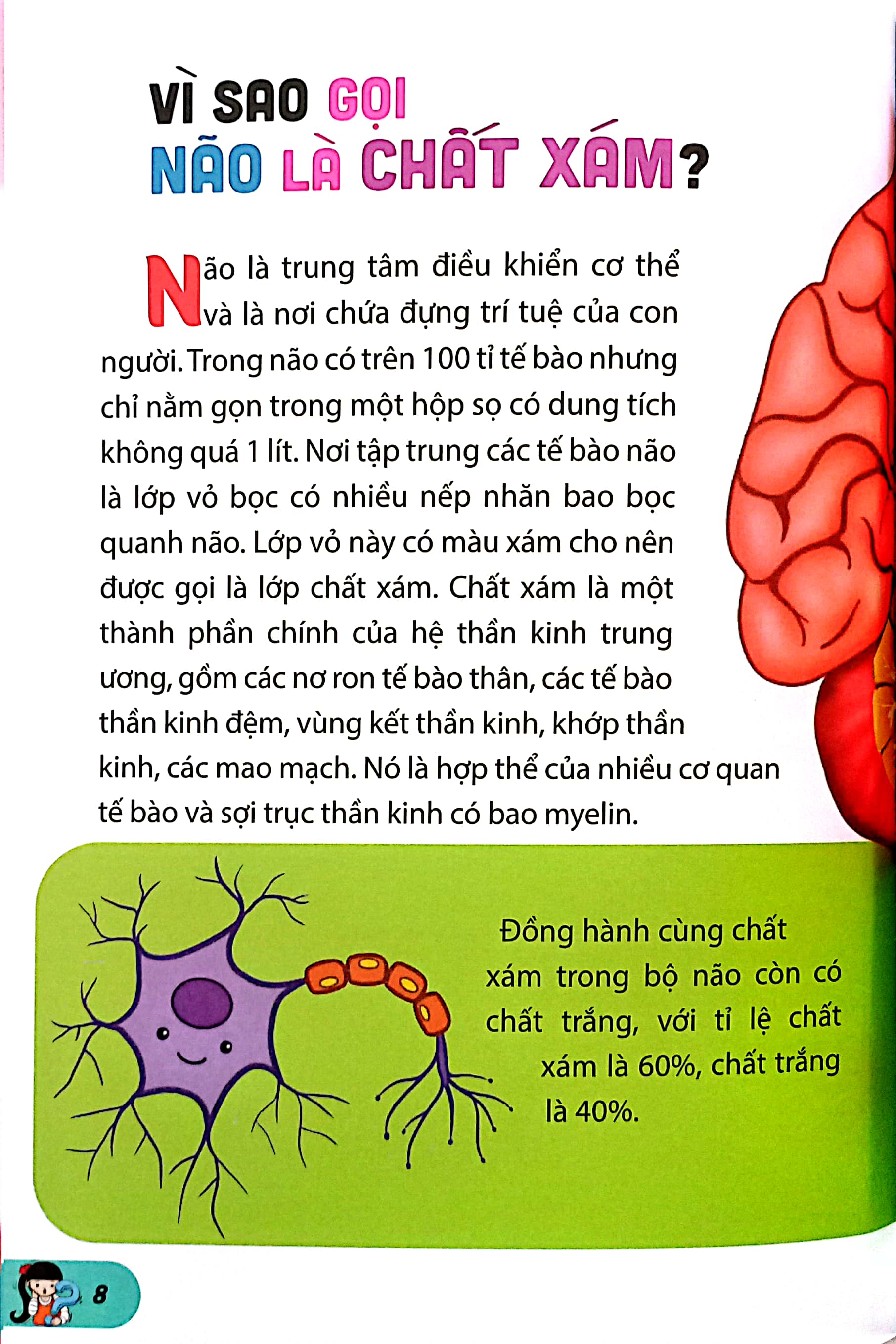 10 vạn câu hỏi vì sao-những câu hỏi thú vị về cơ thể người - Ảnh 6