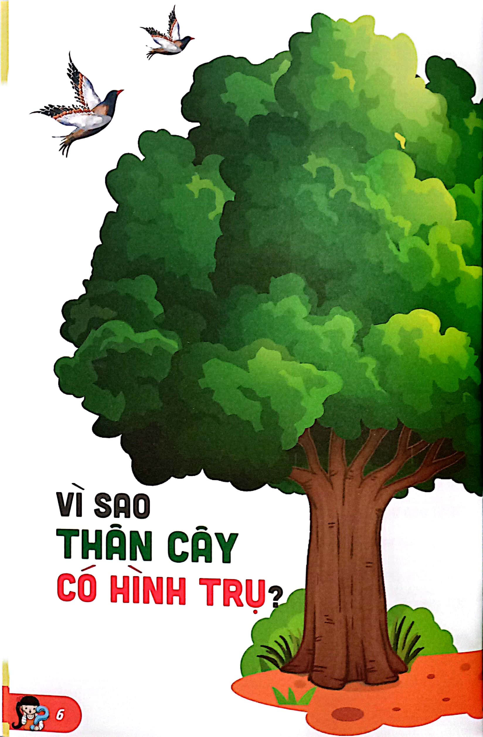 10 vạn câu hỏi vì sao-những câu hỏi thú vị về thế giới thực vật - Ảnh 4