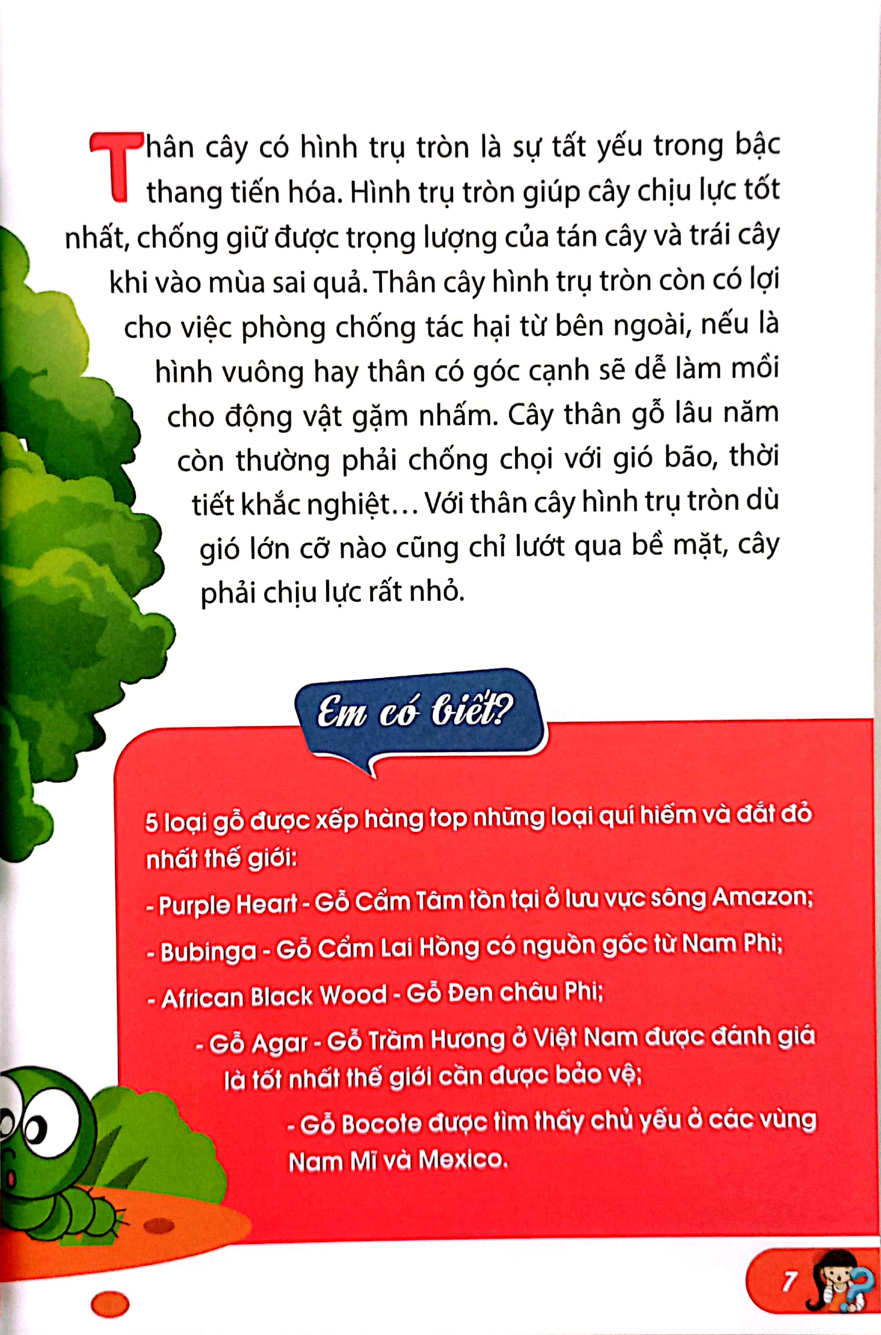 10 vạn câu hỏi vì sao-những câu hỏi thú vị về thế giới thực vật - Ảnh 5