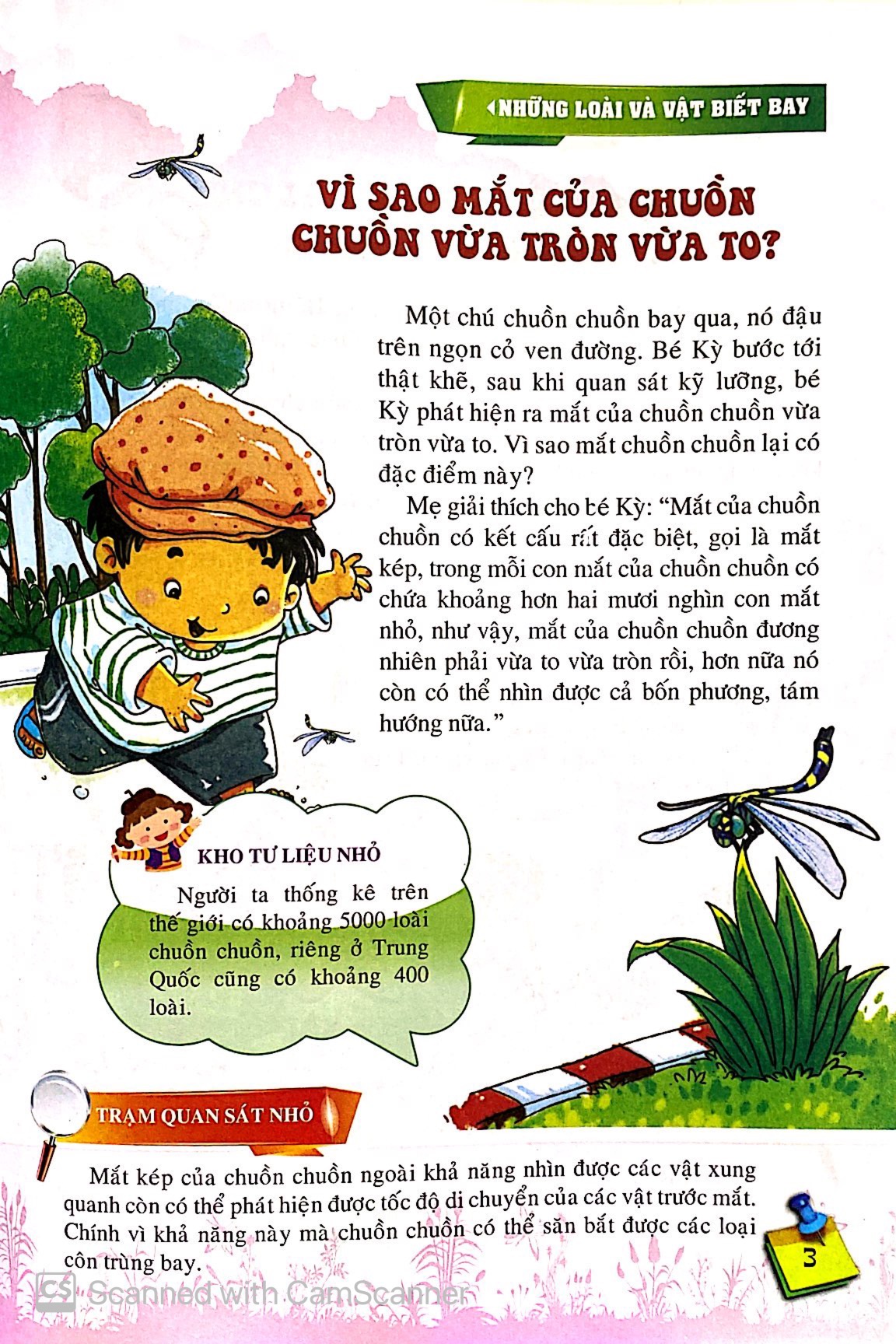 10 vạn câu hỏi vì sao - những loài và vật biết bay - Ảnh 5