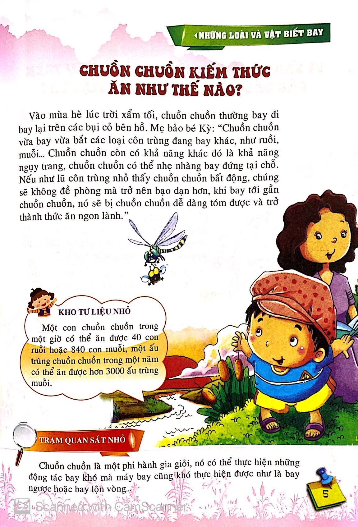 10 vạn câu hỏi vì sao - những loài và vật biết bay - Ảnh 7