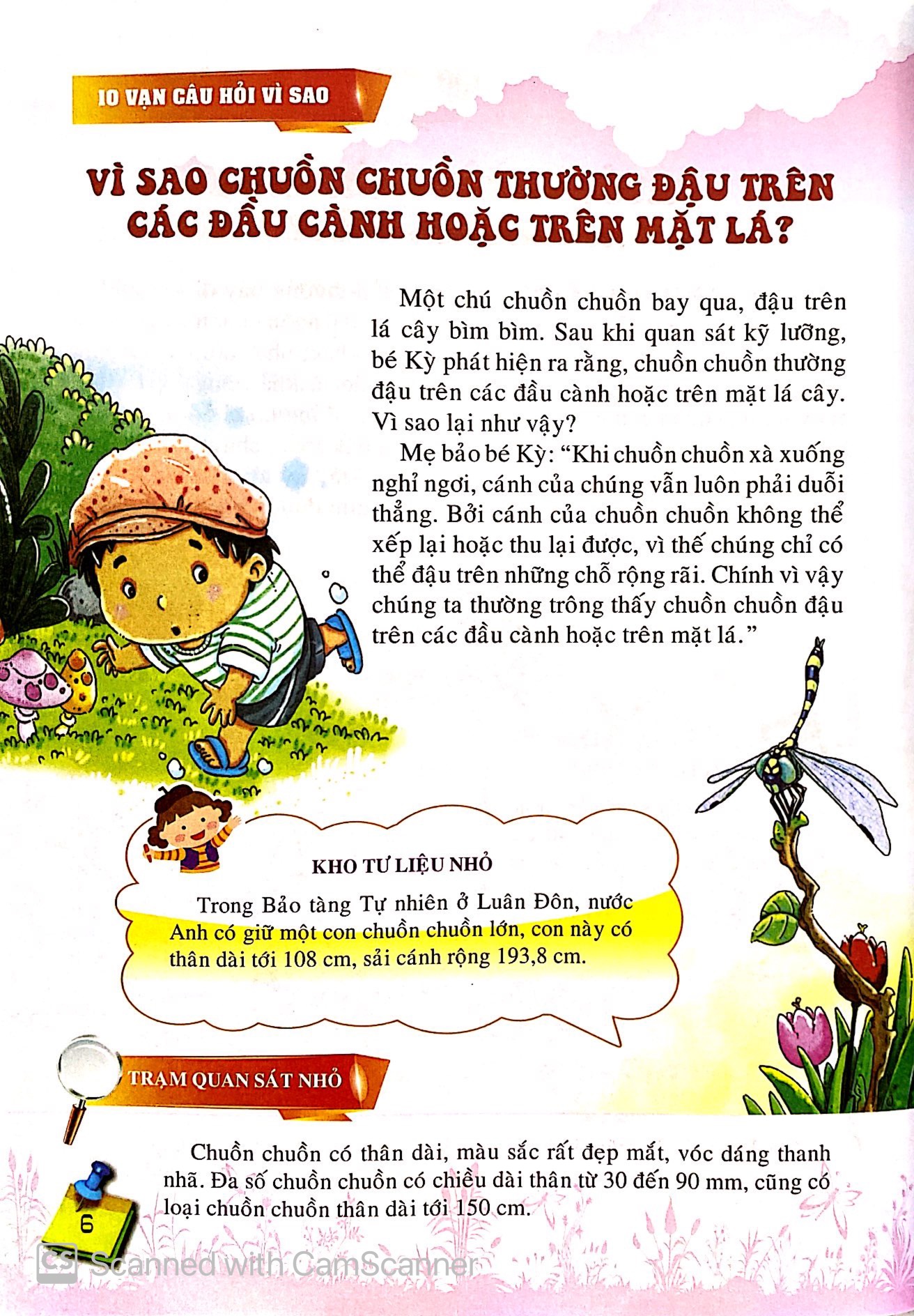 10 vạn câu hỏi vì sao - những loài và vật biết bay - Ảnh 8