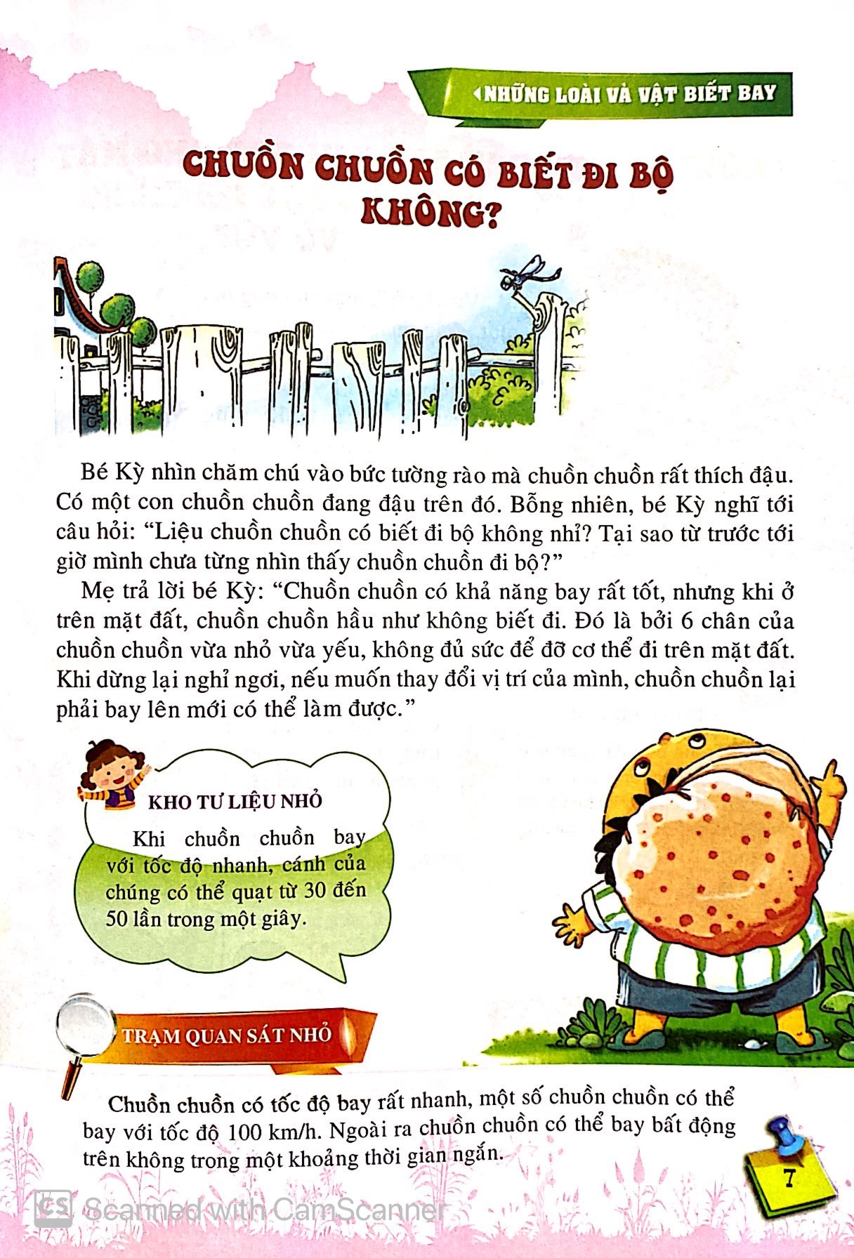 10 vạn câu hỏi vì sao - những loài và vật biết bay - Ảnh 9