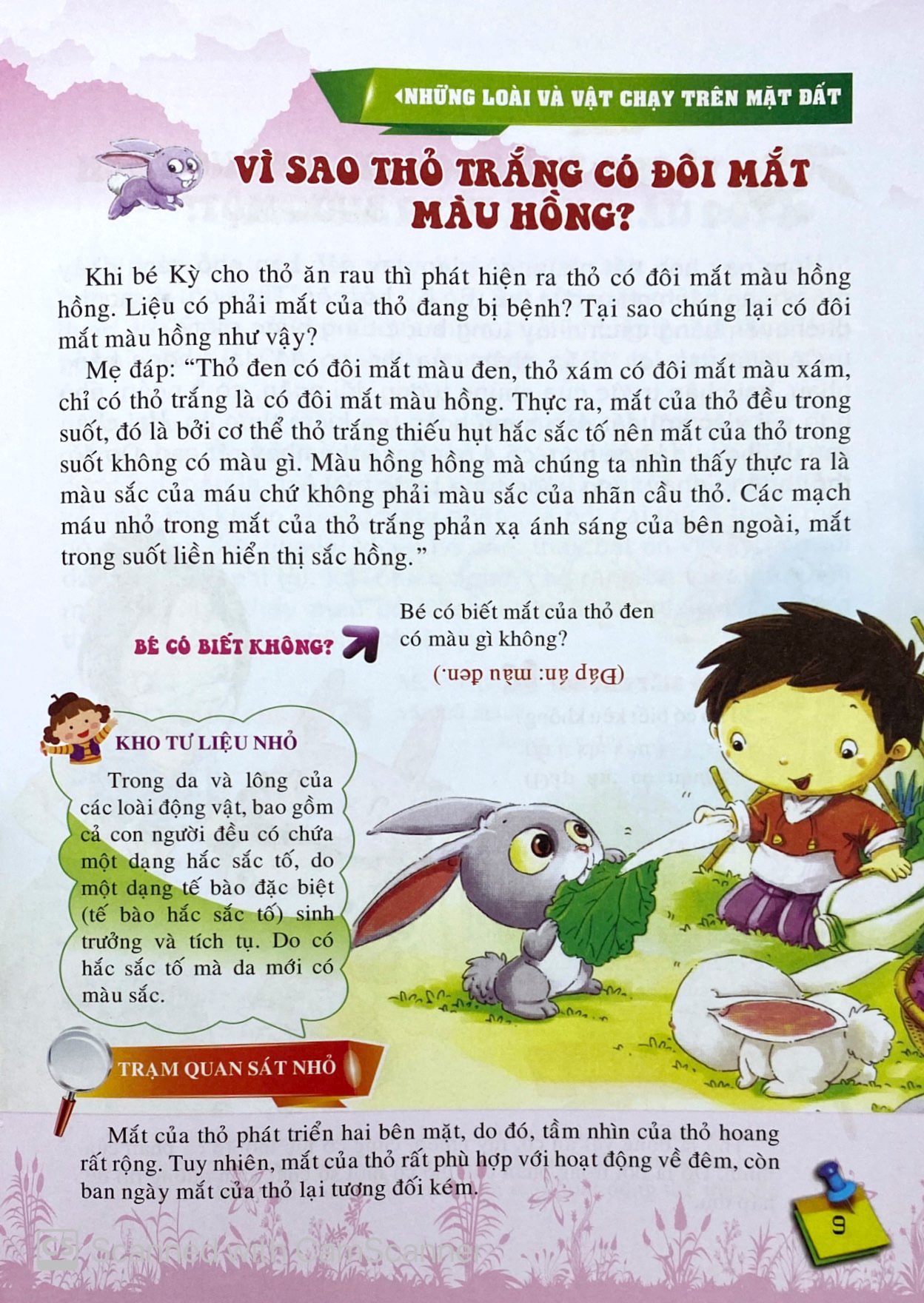 10 vạn câu hỏi vì sao - những loài và vật chạy trên mặt đất - Ảnh 11