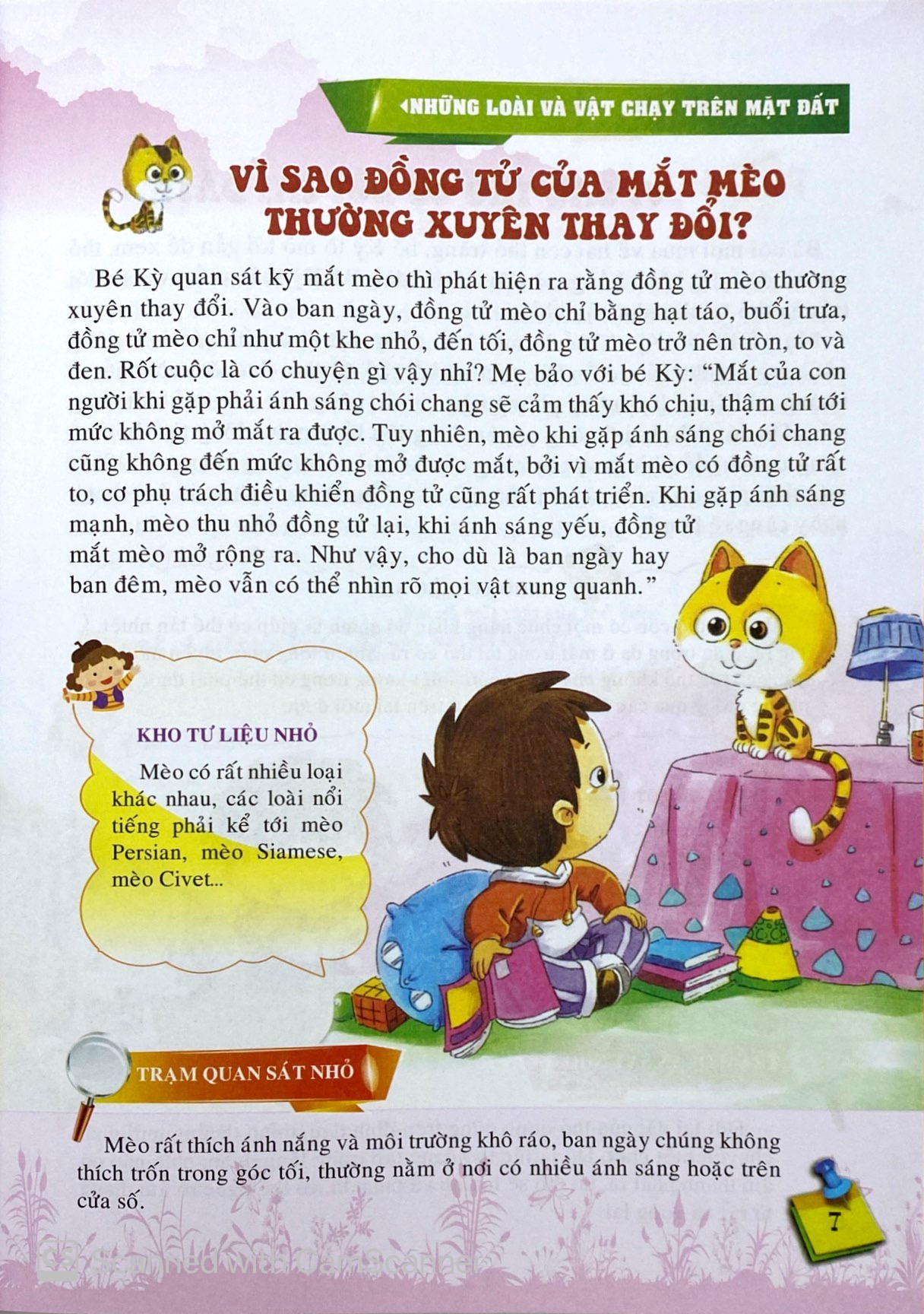 10 vạn câu hỏi vì sao - những loài và vật chạy trên mặt đất - Ảnh 9