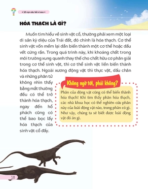 10 vạn câu hỏi vì sao - thám hiểm vương quốc khủng long - Ảnh 10