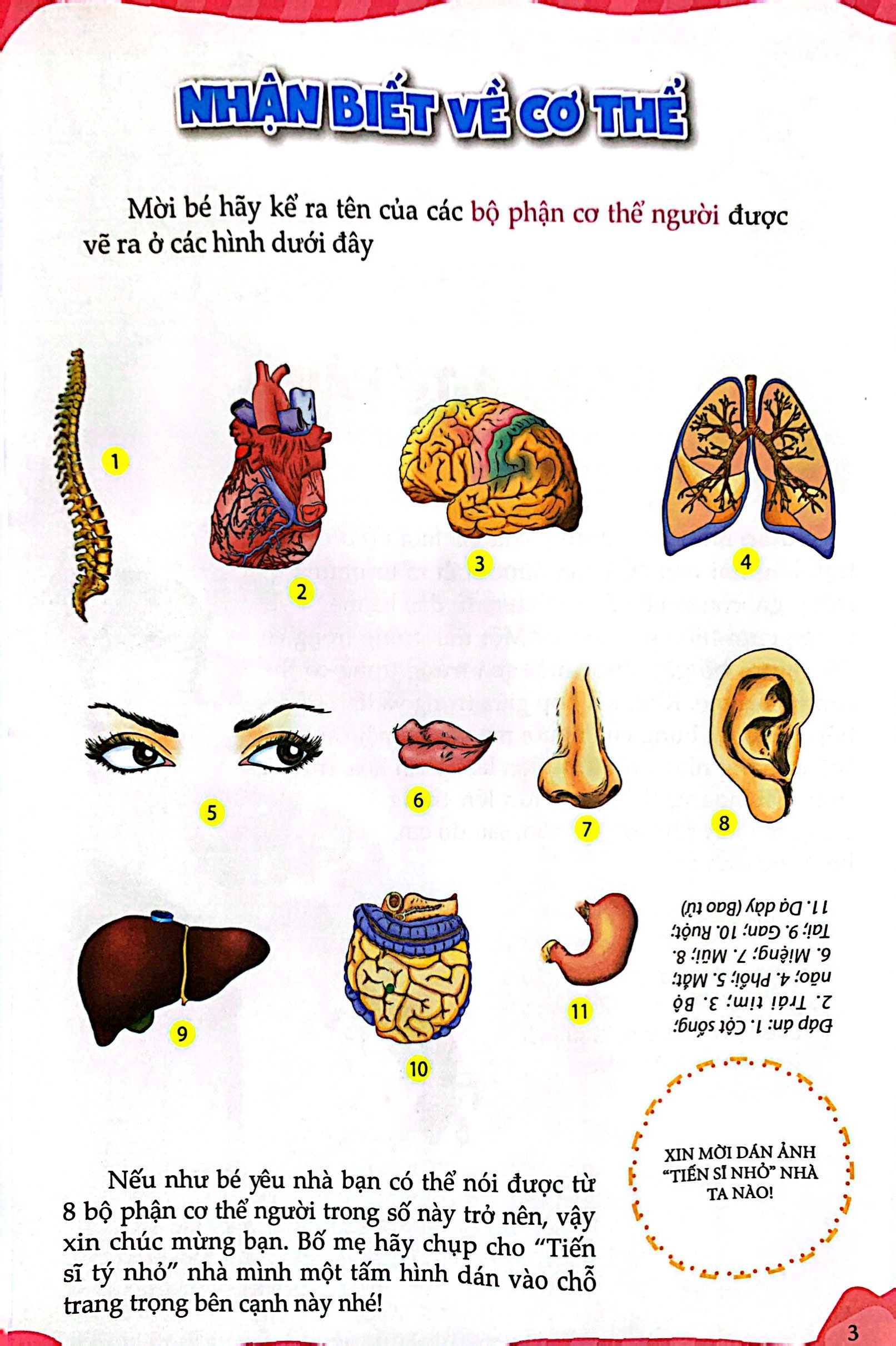 10 vạn câu hỏi vì sao - thân thể đáng yêu (tái bản) - Ảnh 3